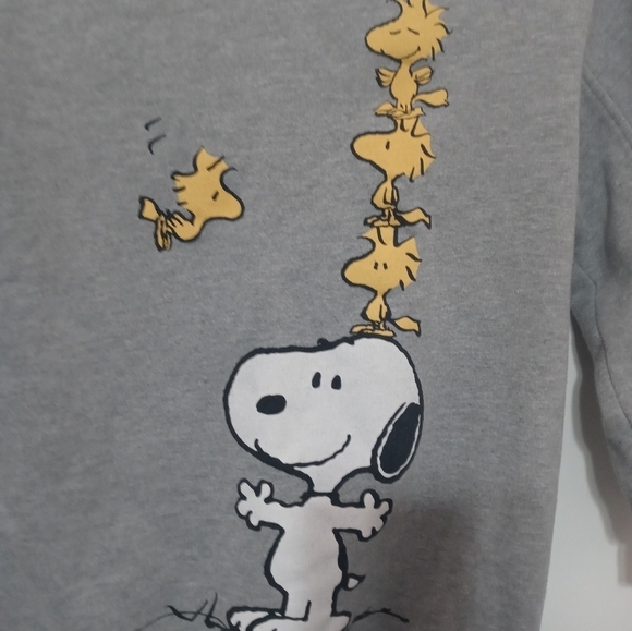 Zara x Peanuts Kids Gray Fleece Sweatshirt Ruched Sleeves Snoopy with Woodstock - Picture 2 of 5